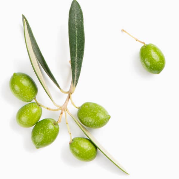 Olio extravergine di oliva biologico prodotto in Italia