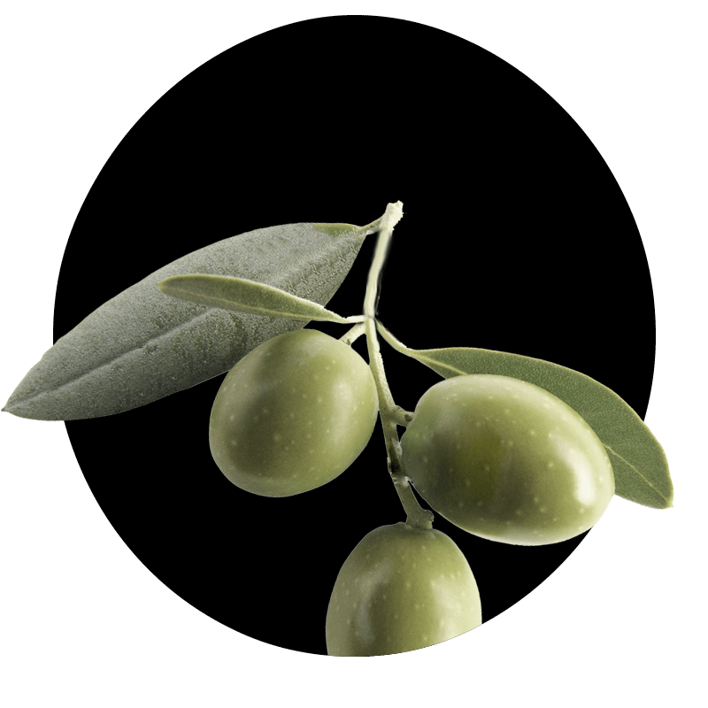 Olive e olio extravergine di oliva di alta qualità da un'azienda agricola familiare